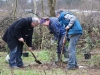 Planten 1